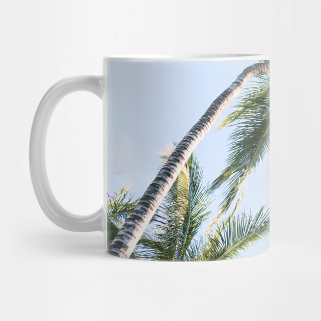 Tropical Palm Trees by NewburyBoutique